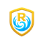 Raidify logo