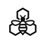 Apiary SMP logo