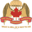 CAR336th logo