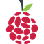 PiGaming logo