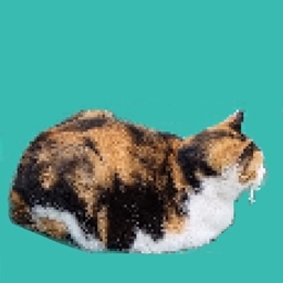 CatOnTeal-Random Party Pack logo