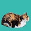 CatOnTeal-Random Party Pack logo
