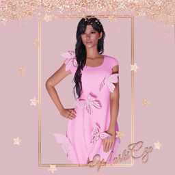 𑄝 Dress  3 logo
