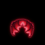 Zs Red Wings logo