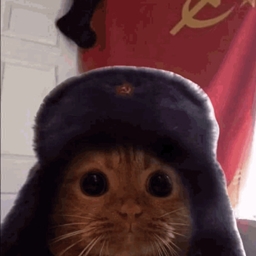 The Motherland project image
