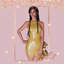 𑄝 Dress 7 logo