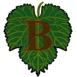 BelorisRP Plugin project image