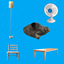 Decor For The Boar logo