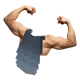Roxxy's Unbreakable Elytra logo
