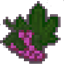 psycedelicraft logo