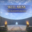 Skull Arena PVP/PVE logo