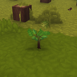 Saplings From Trees logo