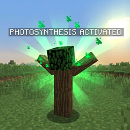 Photosynthesis project image