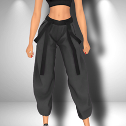 CELLINE PANT project image