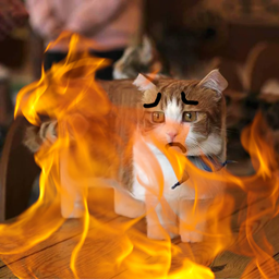 Cat+Fox Spawn Effects project image