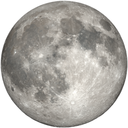 Realistic Night logo