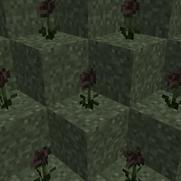 Easy Wither Roses project image