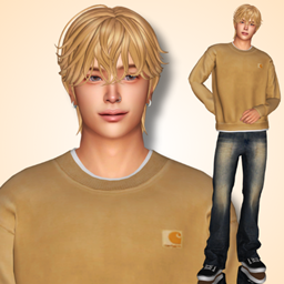 ADEN project image