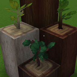 Reworked Saplings logo