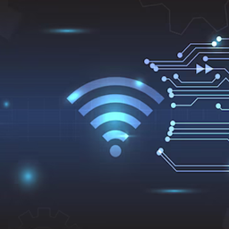 Ping Query Protocol - For Server Lists logo