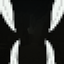 Darkness has Teeth logo
