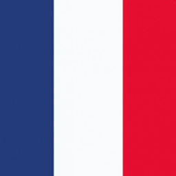 French Language project image