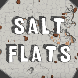 The Salt Flats project image