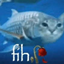 KaLi SMP logo