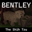 The Bentley Mod logo