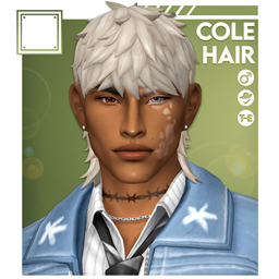 Cole Hairstyle project image