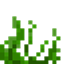 Kelp Animation Remover logo