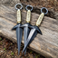 Flying Rajin Kunai logo
