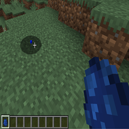 Single Pixel Entity