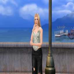 Corina Weston project image