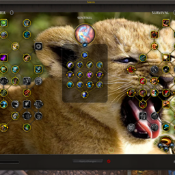 TalentFrame project image