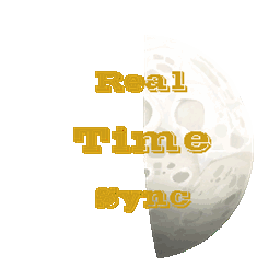 Real Time Sync logo