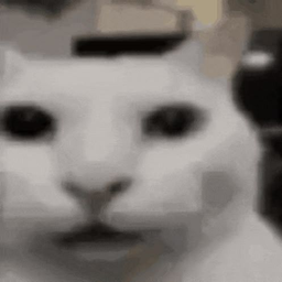 Uncanny Cat logo