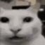 Uncanny Cat logo