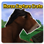 Horse Capture Crate logo