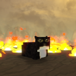 Maxwell (The cat) project image