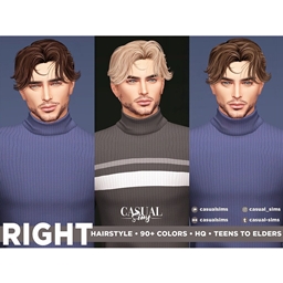 CasualSims - RIGHT HAIRSTYLE project image