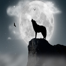 Wolve Discord ModPack