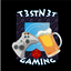 T3stN3t Gaming Vanilla Lite logo