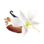 Cultivated Vanilla logo
