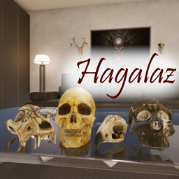 Skull Collection logo