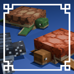 Better Turtle Variants logo
