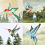 Wild Bird Pictures logo