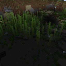 Transparent Water For Exploring! project image