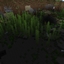 Transparent Water For Exploring! logo