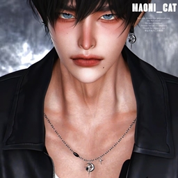 [Maoni_cat]Morning Star&Moon ACC logo
